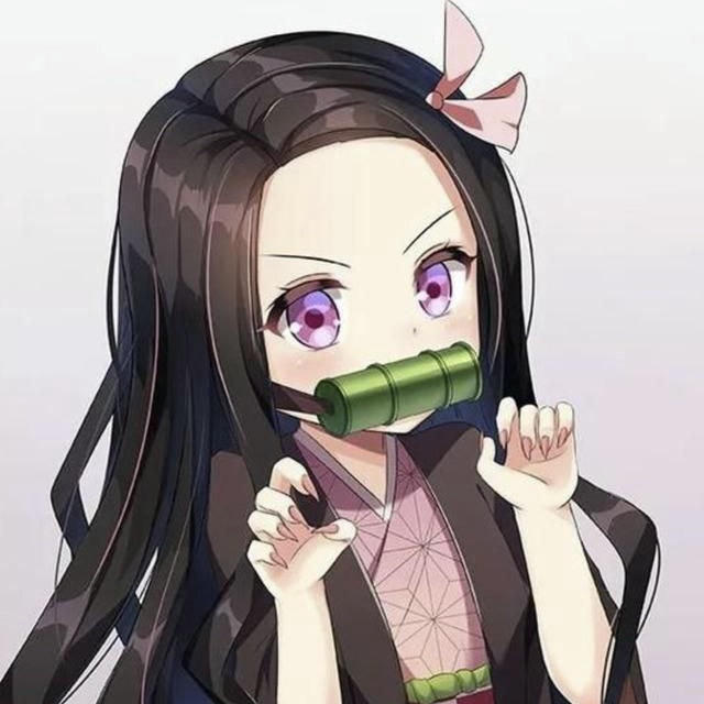 Policr Mini (控制台版)