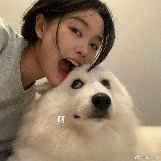 ˹Sᴘᴏᴛɪғʏ ꭙ ᴍᴜꜱɪᴄ 🕊