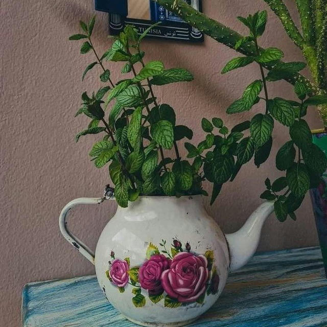 آرامش (چهلسالگي)...