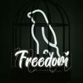 ‌‌Freedom