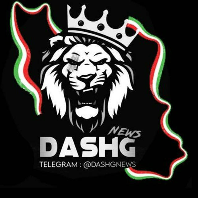 DashgNEWS