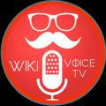 ویکی ویس