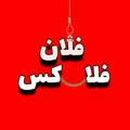 فِلان فلاکس