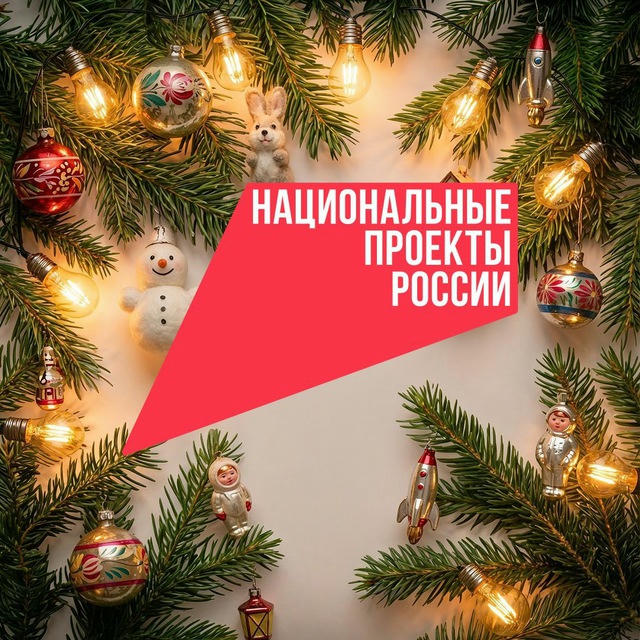 Национальные проекты России
