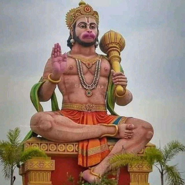 Student Money Help 💰