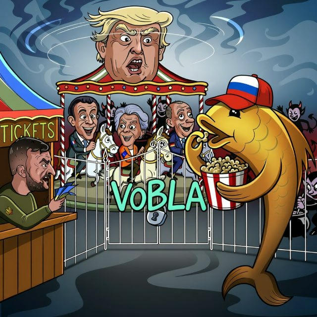 VOBLA • новости