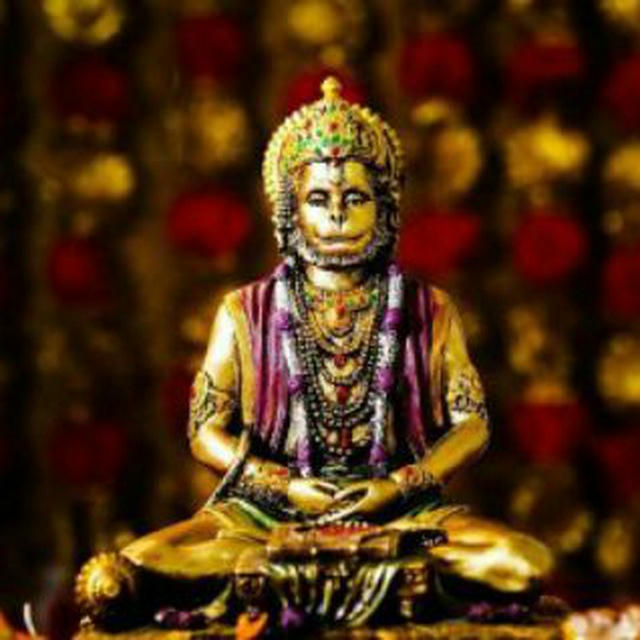 ROCKY [ THE JACKPOT KING]