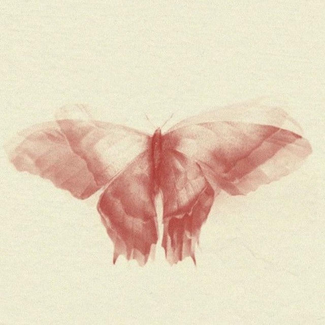 حَادَّة الرِقة .