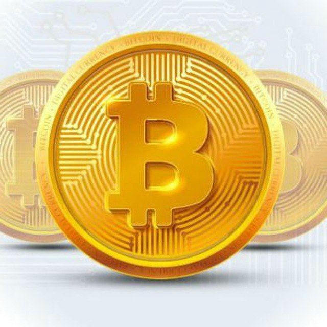 بوت اكسب دولارات