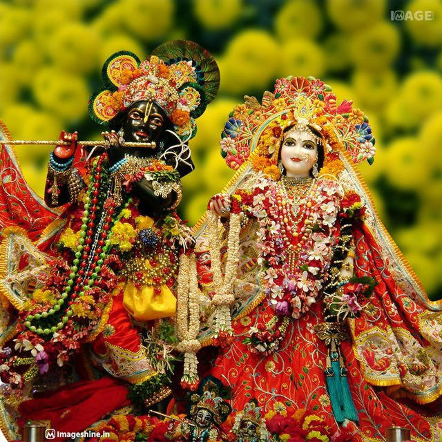 CRICKET PREDICTION 💯