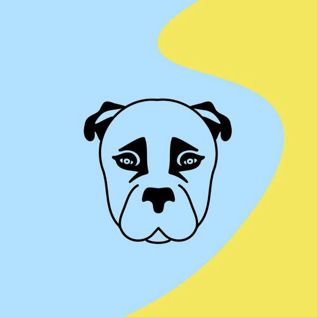 🐾 Happy лапки БФ "Nika Ukraine". Притулок