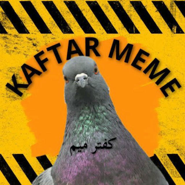 MEME |کفتر میم
