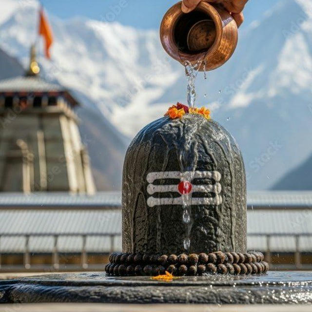 IKKA - Cricket Analyst