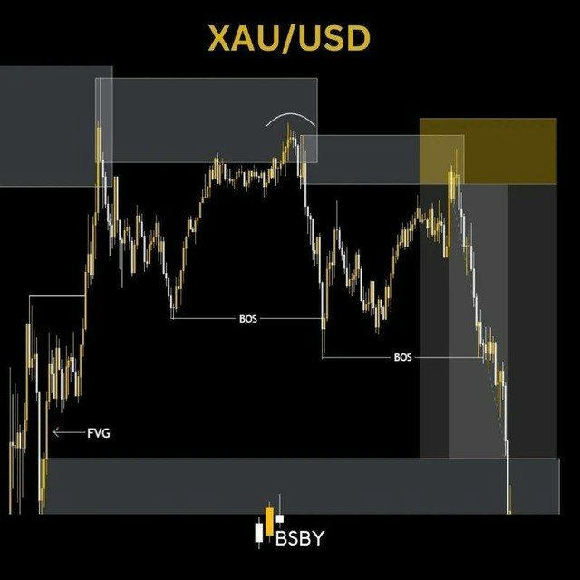 🇺🇿UZB | HALOL DAROMAD📈