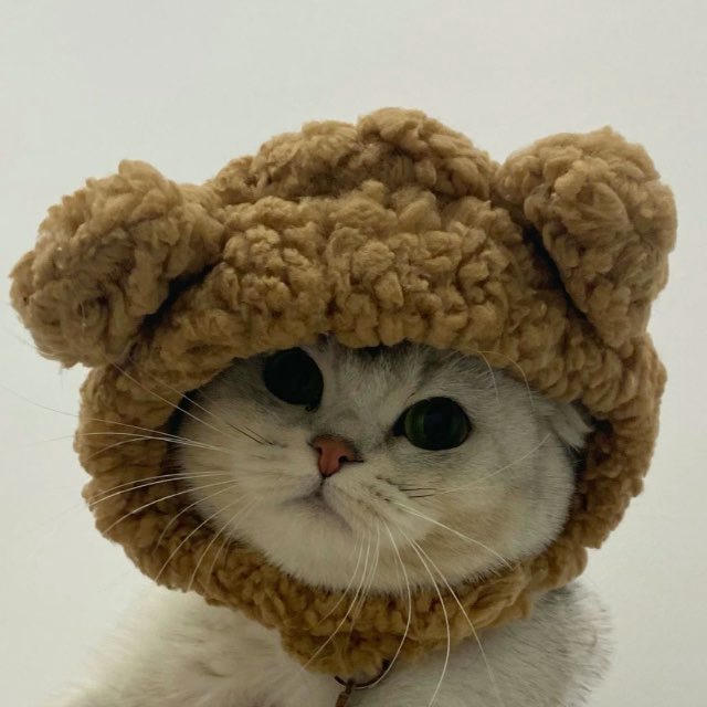 Seputar Info Cuan💸