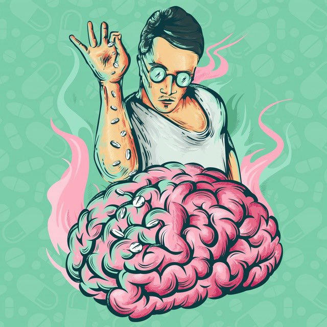 Познавательные Факты