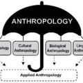 Anthropology UPSC State PCS NET JRF