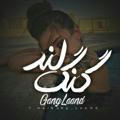 گنـگ لَــ🚫ــنـد