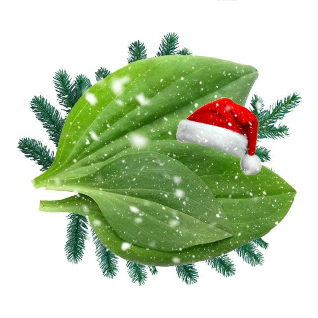 лидер мнений среди удобрений