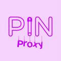 Pin proxy