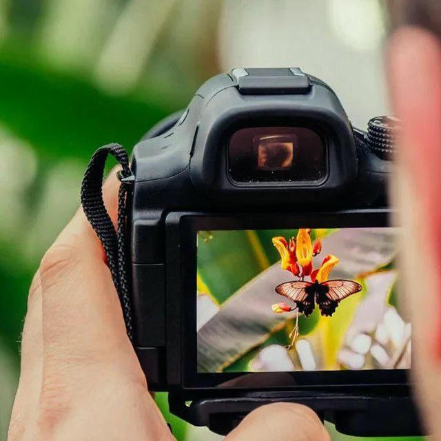 خلفيات اقتباسات، منوعة✨