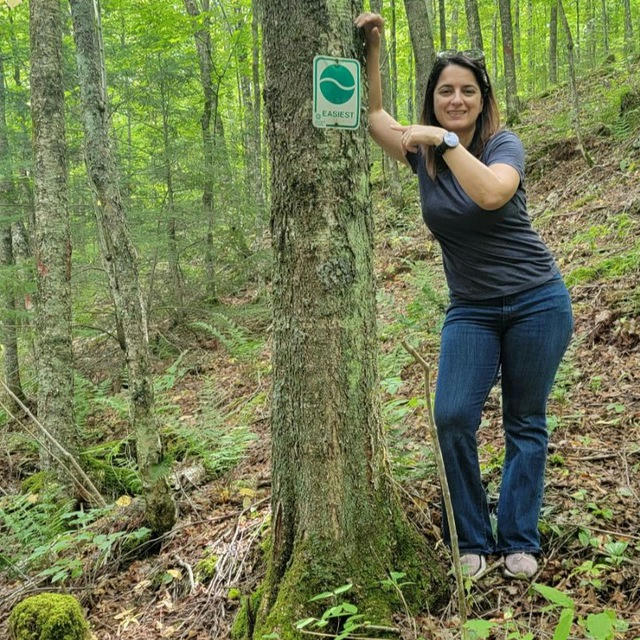 پانته‌آ وزیری