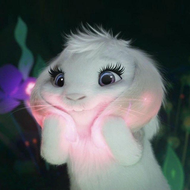 عکس دلبر 📸