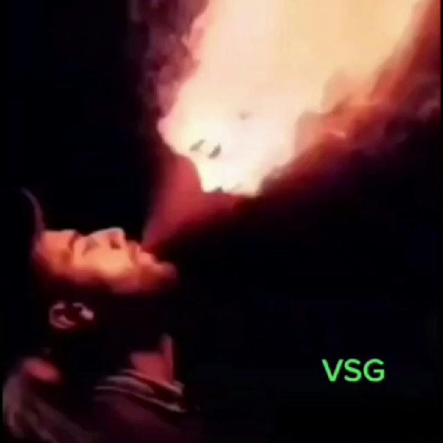 Special VSG (9167911740)