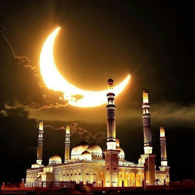 بعضً من اللُطف 🤎🥥.