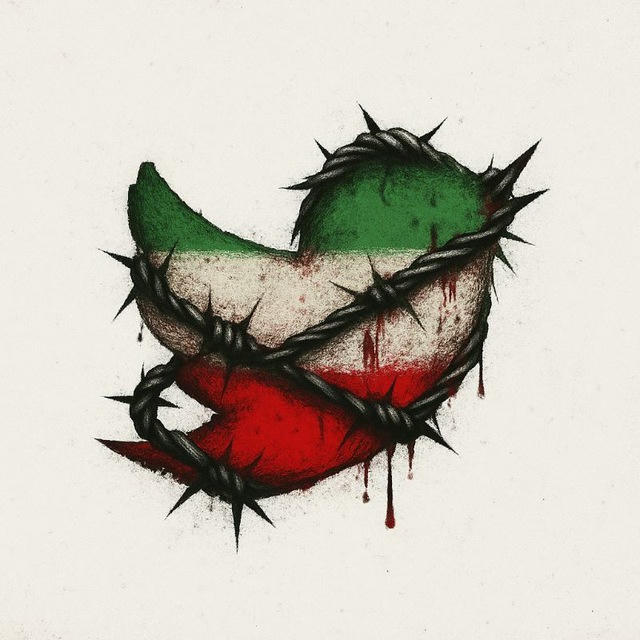 HipHop Tweety | جنگ ایران و اسرائیل