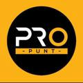 PROPUNT.CO OFFICIAL
