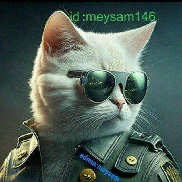 ❤ چنل زاپاس ❤