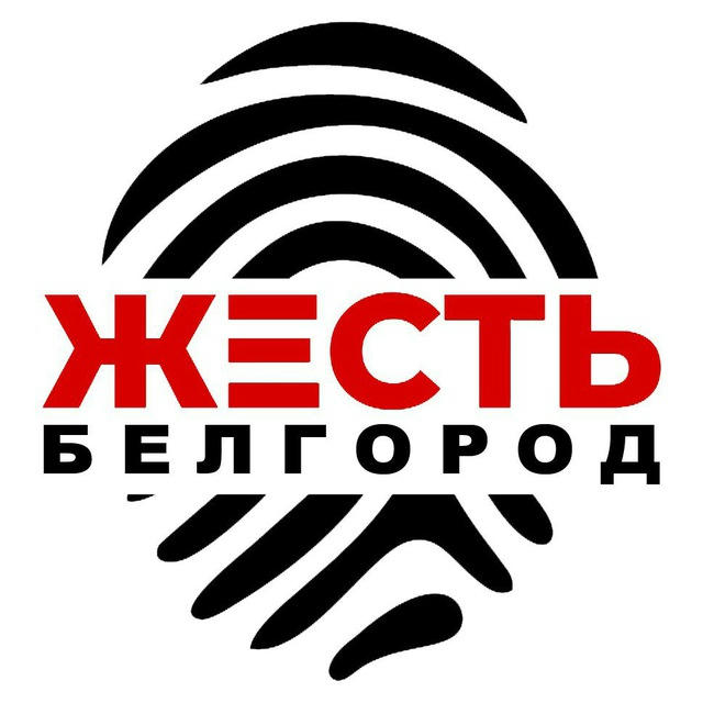 Жесть Белгород