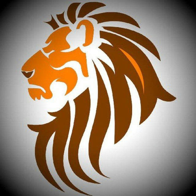 SESSIONS MATCHS REPORTS LIVE BBL