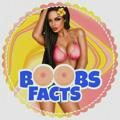 [ Boob Fact 🔞 ]