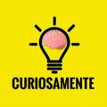 💡CURIOSAMENTE🧠