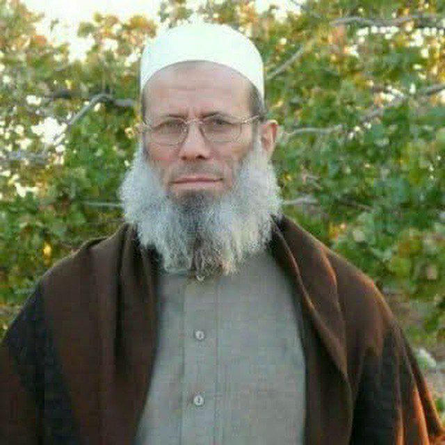 الشيخ عبد الرزاق المهدي