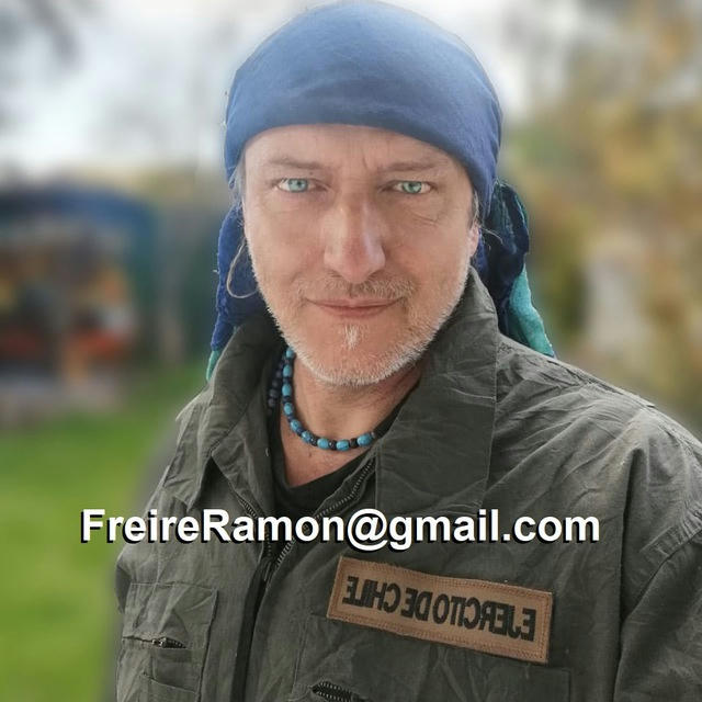 Ramon Freire oficial