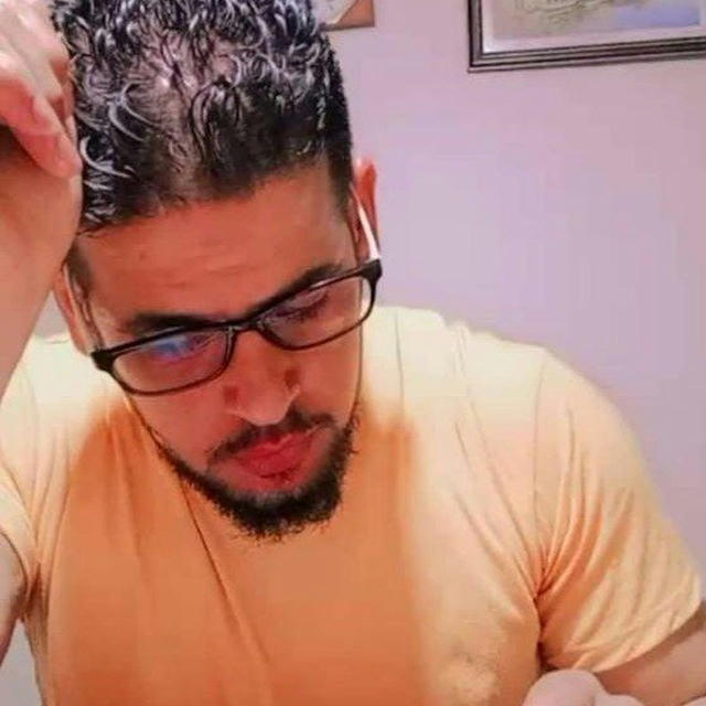 الناشط حمزة المصري