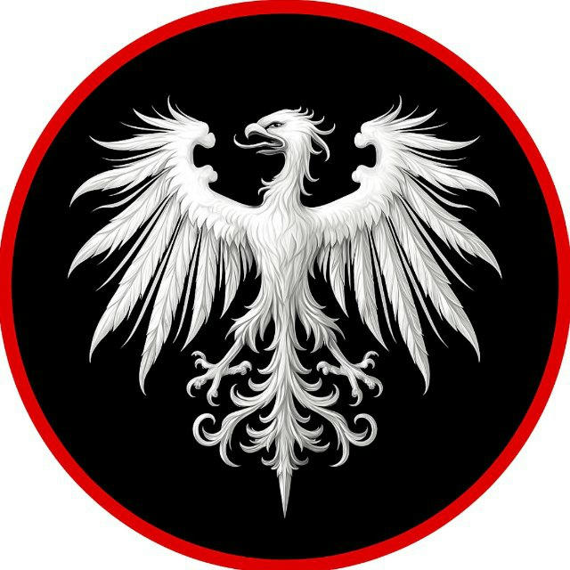 История человечества