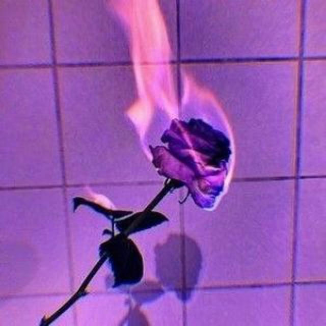 『𝑱𝒐𝒖𝒓𝒏𝒆𝒚: 𝑩𝒆𝒈𝒊𝒏𝒏𝒊𝒏𝒈 𝒕𝒐 𝑬𝒏𝒅』