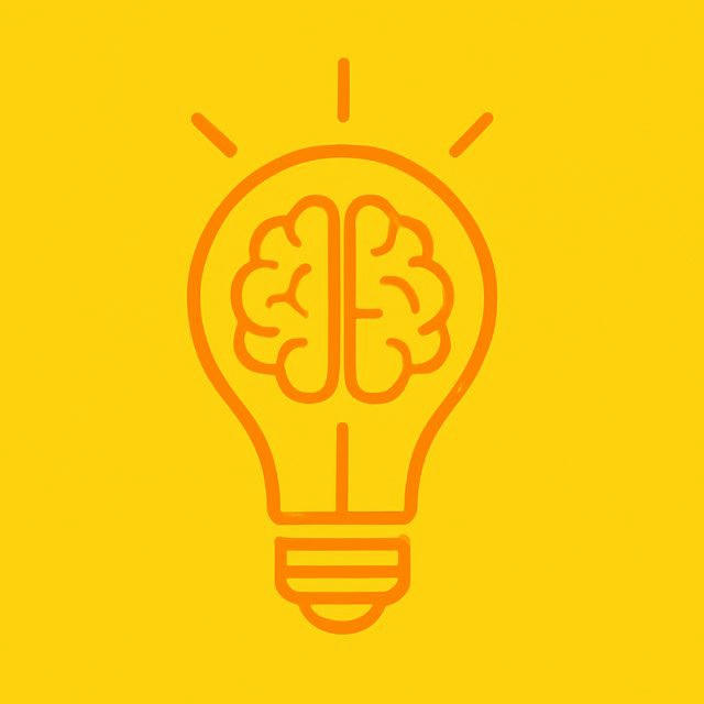 Познавательный | Факты и советы