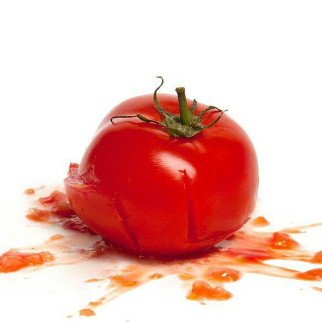 Rotten Tomatoes Movies