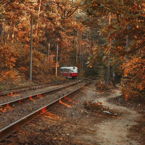 🚋 Легенда Києва: трамвай-привид №12 Маршрут №12 з’єднує Поділ із осіннім Києвом, долаючи найдовшу лінію міського трамвая. Пі