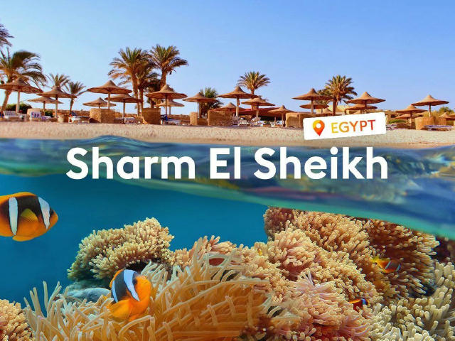 Друзі, привіт 🙋‍♀️ Хто там гАрячий як і ми ✈️🤌 ЄГИПЕТ 🐚 🇪🇬 Sharm El Sheikh з Кишиневу 🇲🇩 ✈ 09.12.2024 🔥 6+1 ночей від