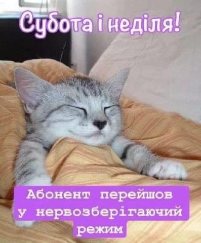 Коли дедлайни почекають до понеділка 😴✨ Гарних і спокійних вихідних! 🏡 Віддалена робота