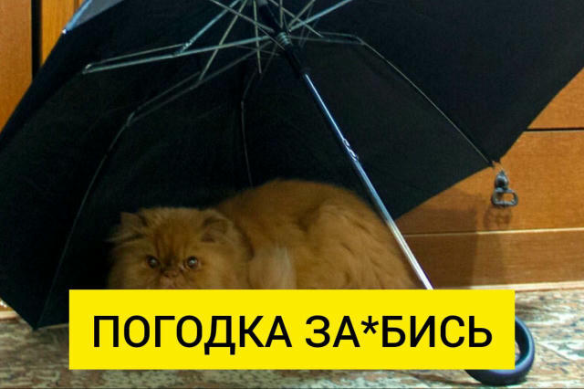 ⛅️Легкий морозець очікується завтра зранку на Вінниччині, – гідрометцентр. Протягом дня буде хмарно, опадів не очікується. Ві