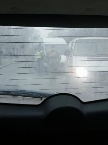 📝Вишневое, первая фора, на остановке перекрыли дорогу синие и зелёный, шманают маршрутки Отправить прогноз - @pogoda_kyivv_b