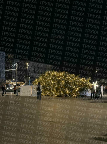 🫠 ВПАЛА головна ялинка Львова. Раніше вже повідомляли, що вона трохи похилилася набік. Хто на місці, можете підтвердити? От