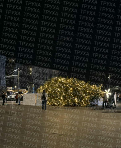 🫠 ВПАЛА головна ялинка Львова. Раніше вже повідомляли, що вона трохи похилилася набік. Хто на місці, можете підтвердити? Про